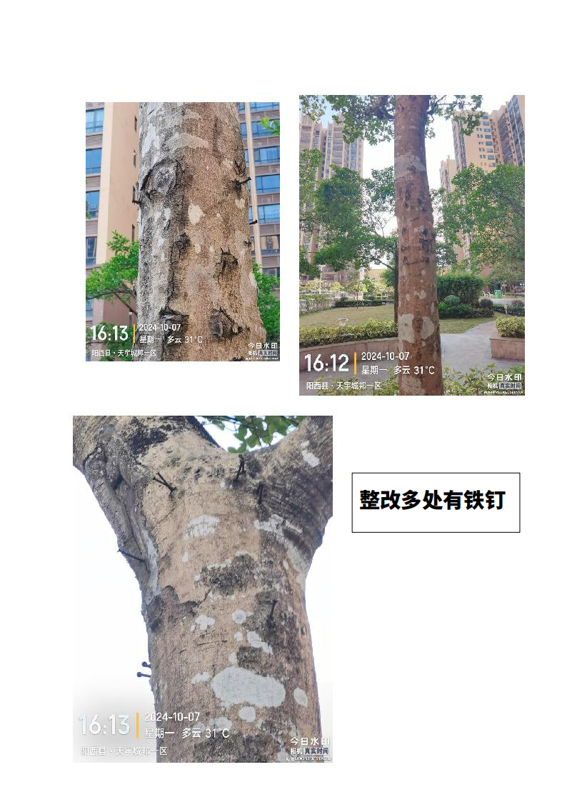 content/uploadfile/202505/782b1746845629.jpeg