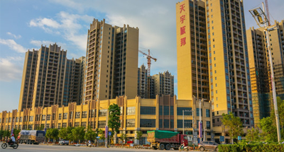 整改通知书20241017
